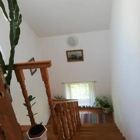 Virágos *