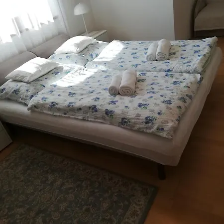 Viragos Vendeghaz 公寓 巴拉顿菲赖德