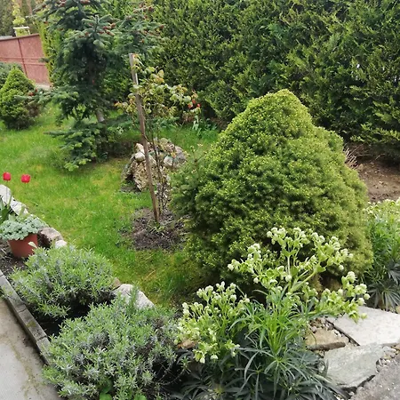 Apartamento Viragos Vendeghaz *