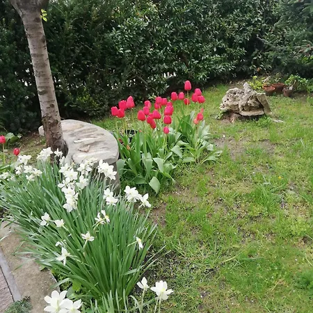 Apartamento Viragos Vendeghaz