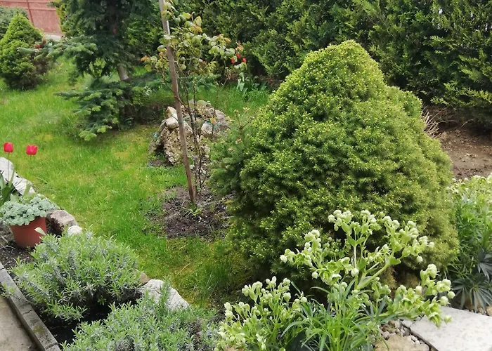 Appartement Viragos Vendeghaz *