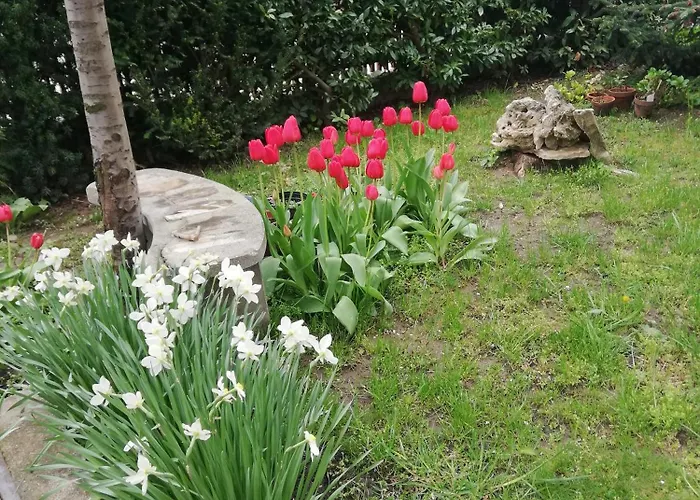 Appartement Viragos Vendeghaz